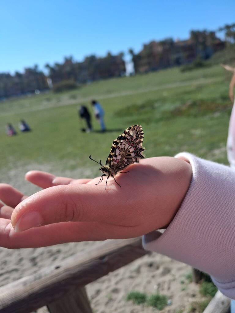 Jornadas medio ambiente 3