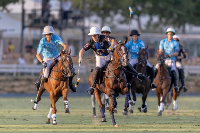Ayala Polo